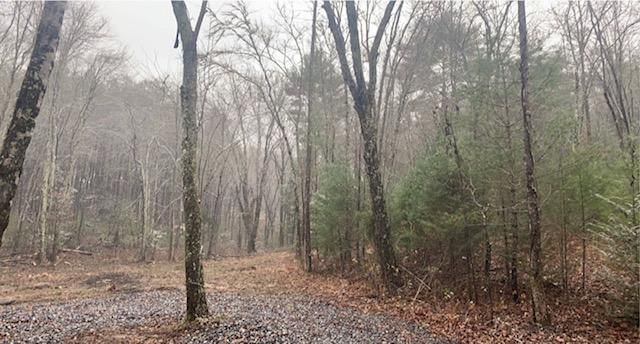 603 Epperson Rd, Tellico Plains, TN 37385