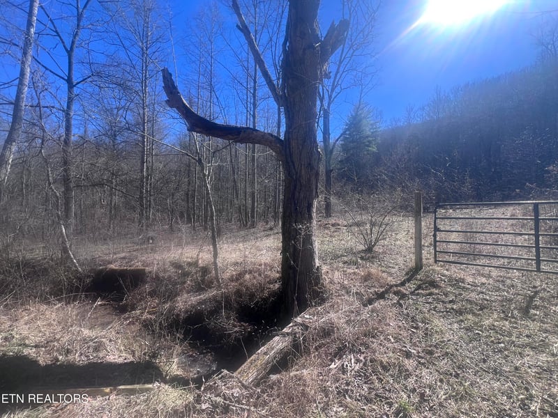 603 Sled Creek Rd, Duff, TN 37729