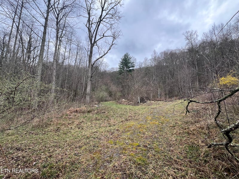 603 Sled Creek Rd, Duff, TN 37729
