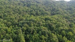 603 Sled Creek Rd, Duff, TN 37729
