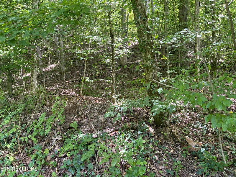 6030 Cherokee Indian Cir, Tallassee, TN 37878