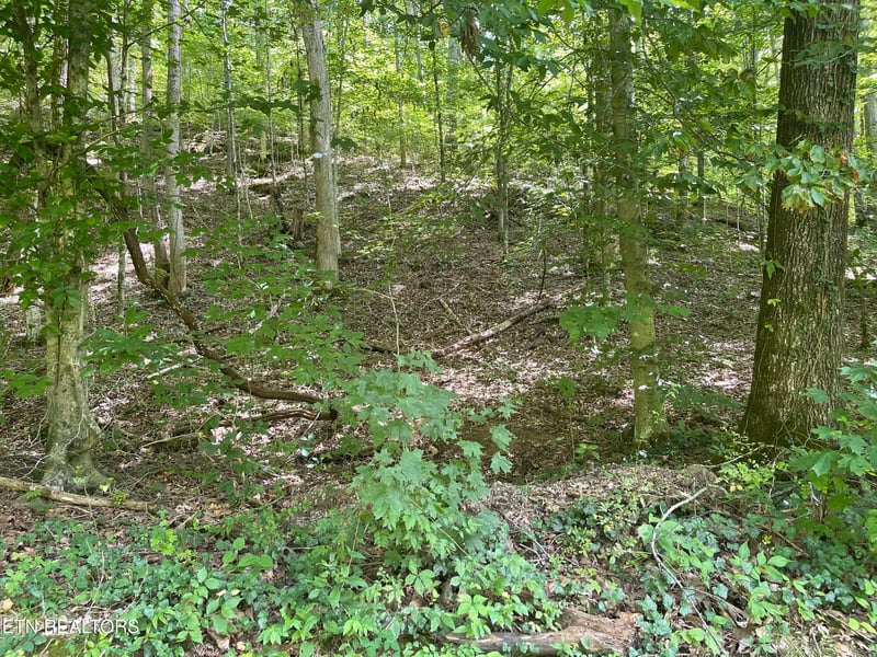 6030 Cherokee Indian Cir, Tallassee, TN 37878