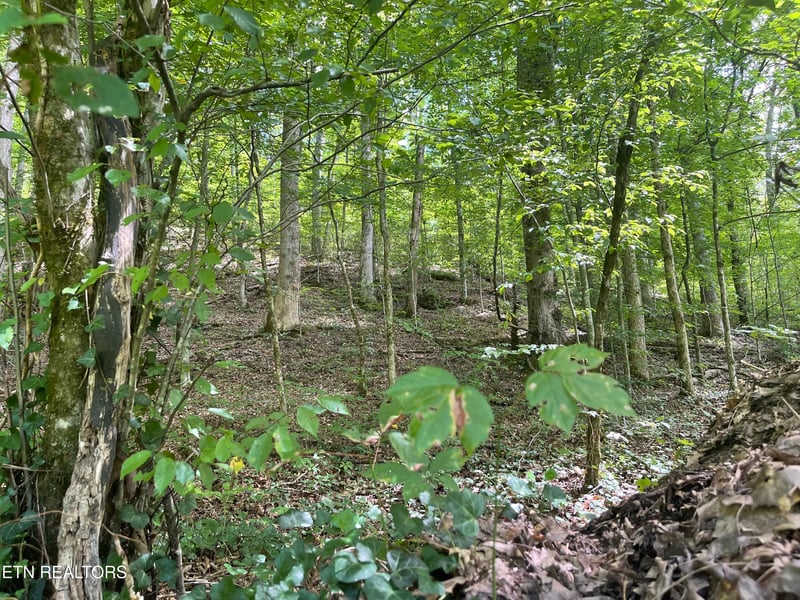 6030 Cherokee Indian Cir, Tallassee, TN 37878