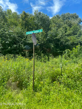 6030 Cherokee Indian Cir, Tallassee, TN 37878