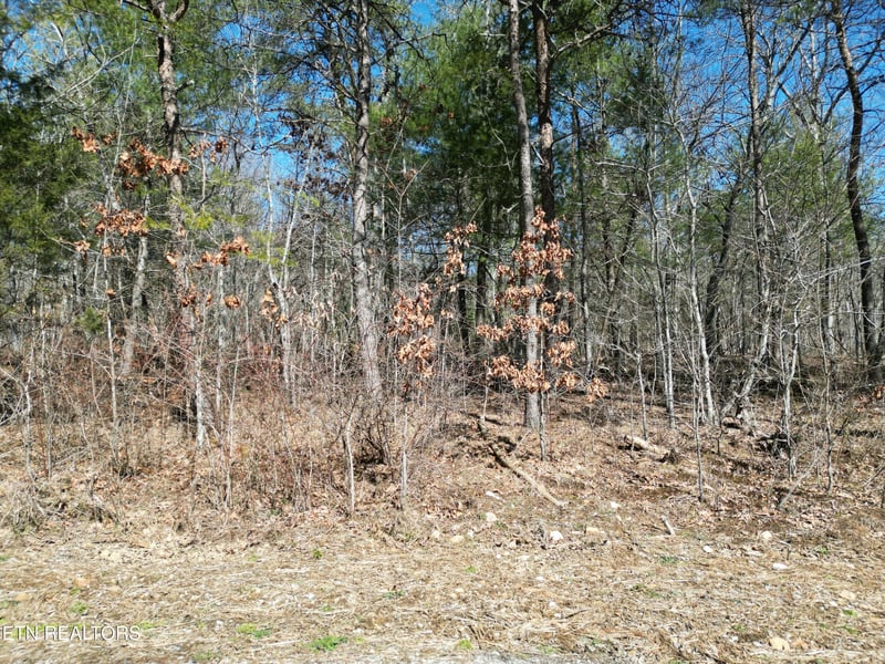 6039 Tomahawk Dr, Crossville, TN 38572
