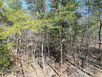 6039 Tomahawk Dr, Crossville, TN 38572