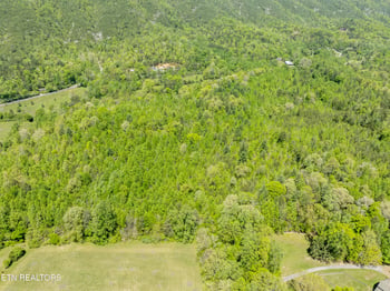 604 E Millers Cove Rd, Walland, TN 37886