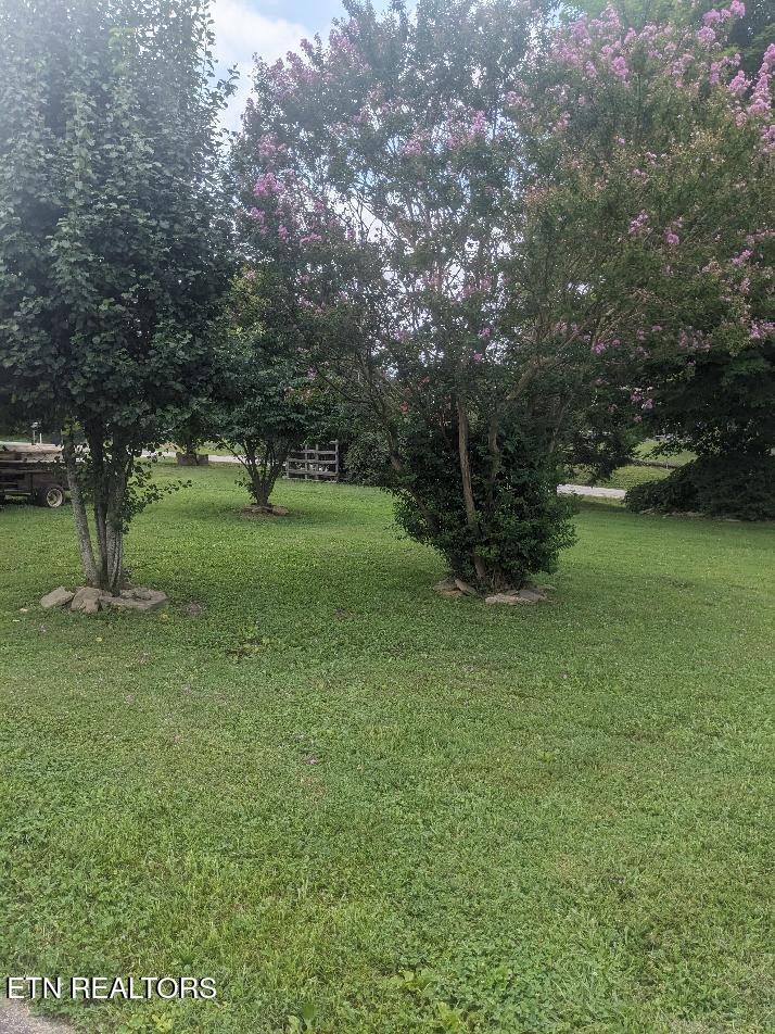 604 E Virginia Ave, Lafollette, TN 37766