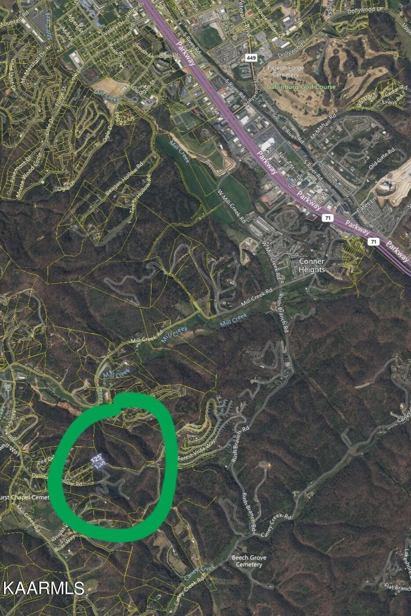 604 Pine Knob Rd, Pigeon Forge, TN 37863