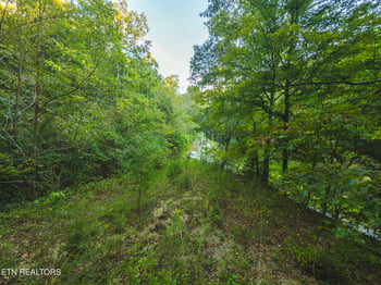 605 Bullen Valley Rd, Thorn Hill, TN 37881