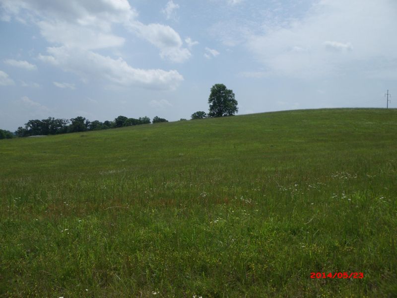 6059 Morganton Rd, Greenback, TN 37742