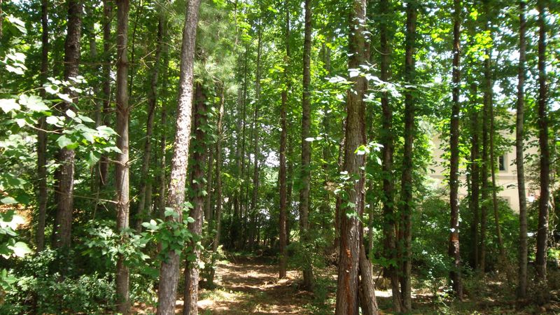 607 Tanasi Ln, Loudon, TN 37774
