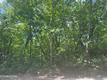 609 Saint George Dr, Crossville, TN 38558