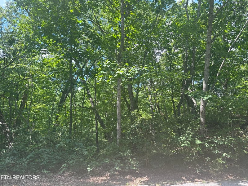 609 Saint George Dr, Crossville, TN 38558