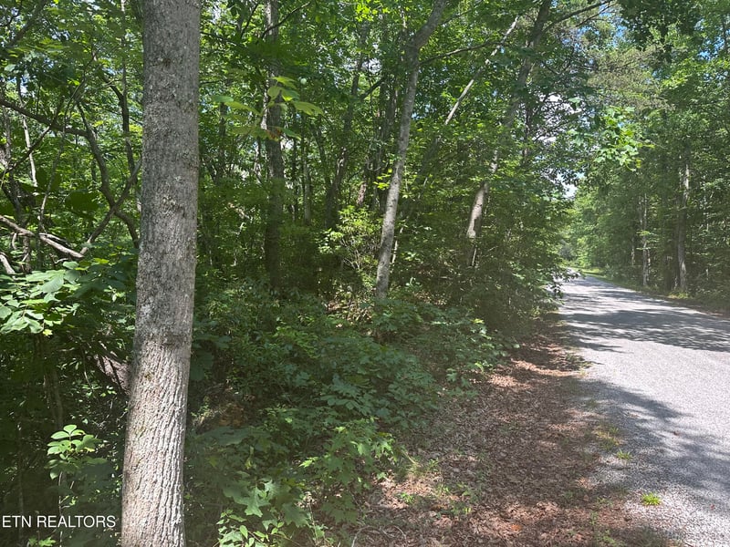 609 Saint George Dr, Crossville, TN 38558