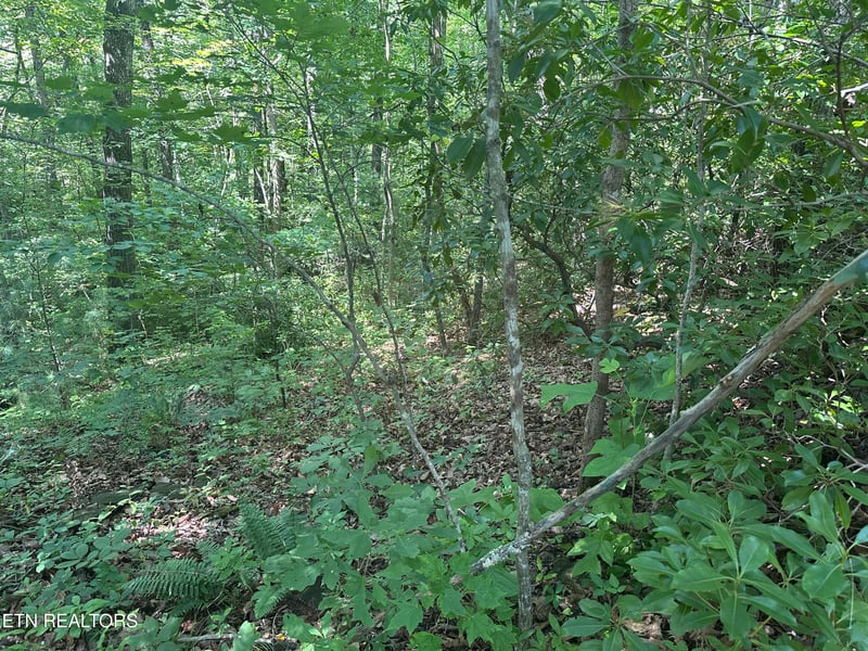609 Saint George Dr, Crossville, TN 38558