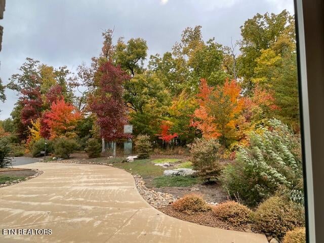 61 Bluff View Ct, Crossville, TN 38558