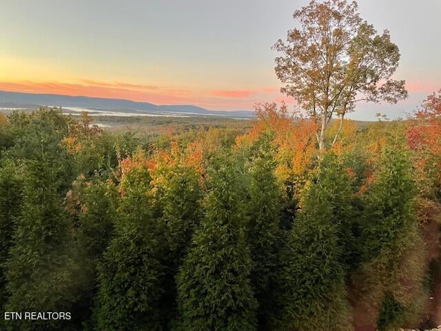 61 Bluff View Ct, Crossville, TN 38558