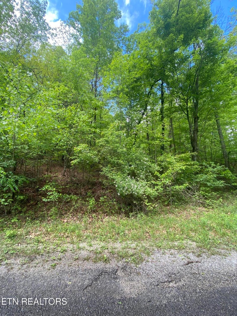 610 Catawba Ln, Crossville, TN 38572