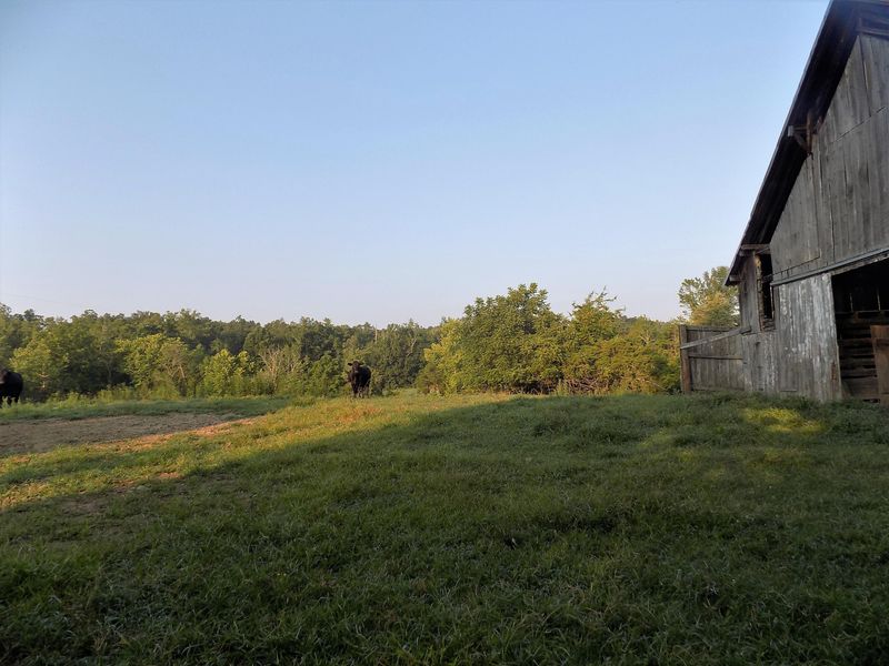 611 Cagle Rd #B, Tellico Plains, TN 37385