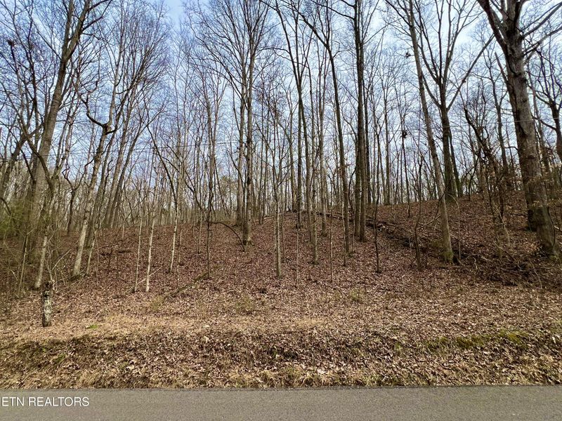 6110 Get Good Hollow Rd, Loudon, TN 37774