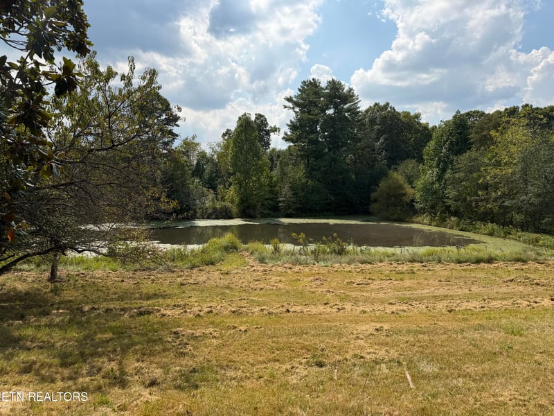 6111 Nashville Hwy, Deer Lodge, TN 37726