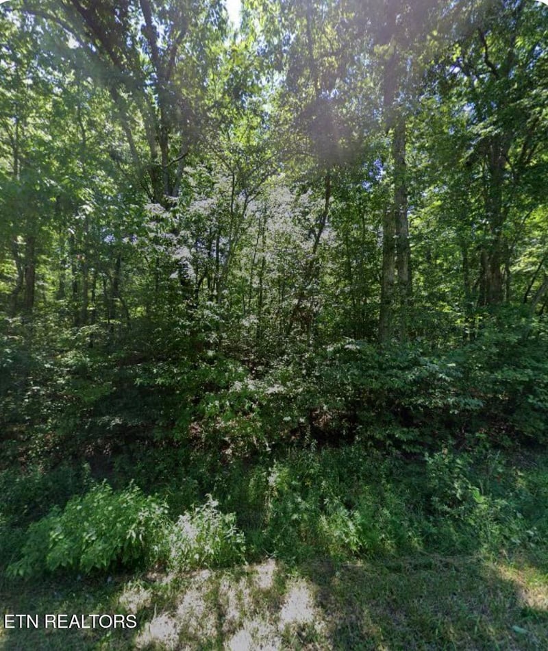6115 Pocahontas Ln, Crossville, TN 38572
