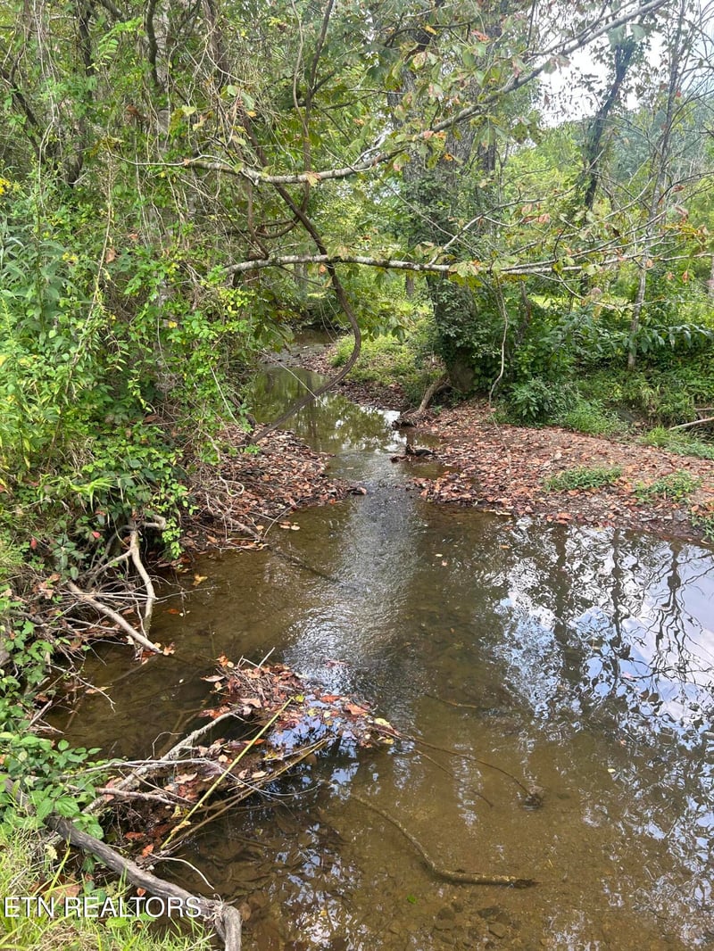 6116 Paint Rock Rd, Oneida, TN 37841