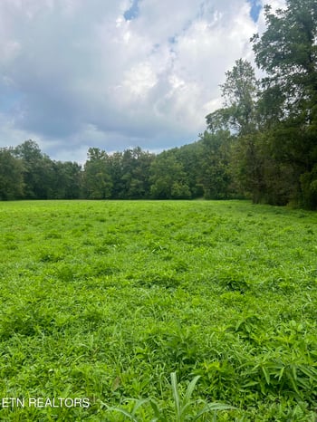 6116 Paint Rock Rd, Oneida, TN 37841