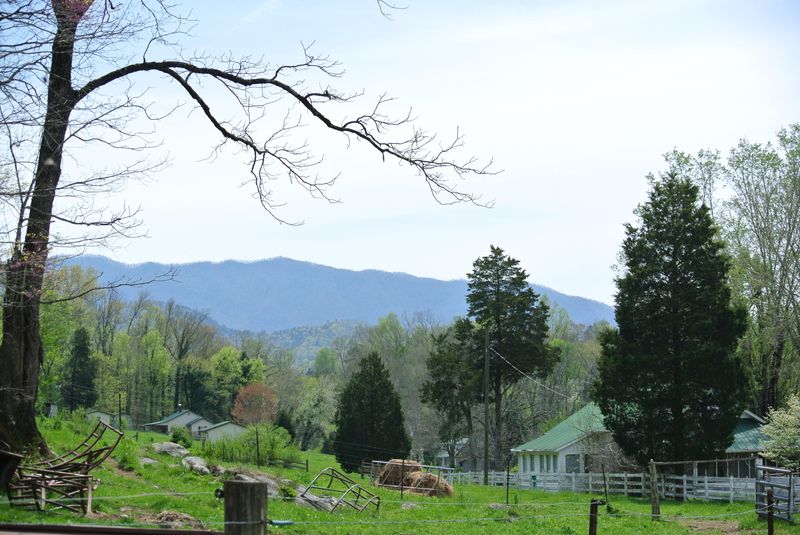 612 Old Cedar Creek Rd, Townsend, TN 37882