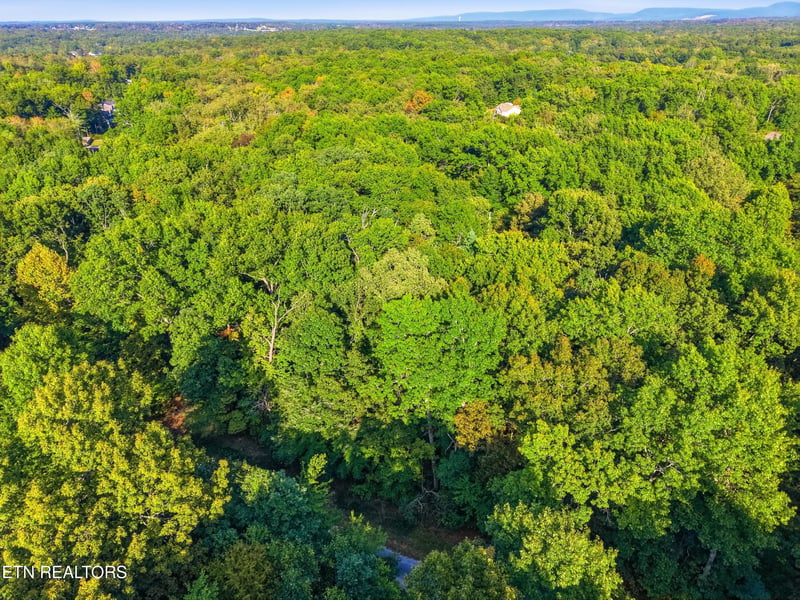 615 Catawba Ln, Crossville, TN 38572