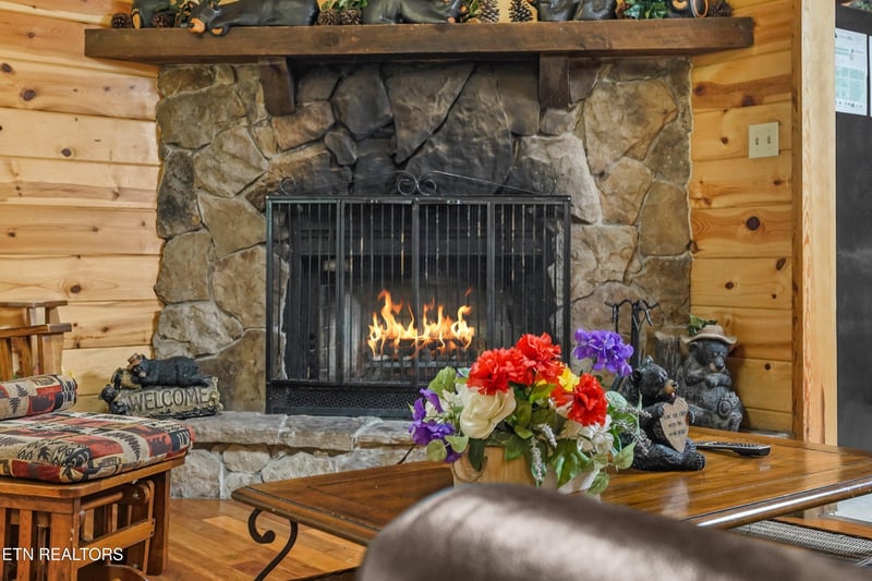 615 Iron Mountain Rd, Pigeon Forge, TN 37863