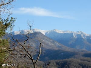 615 N Ownby Dr, Gatlinburg, TN 37738