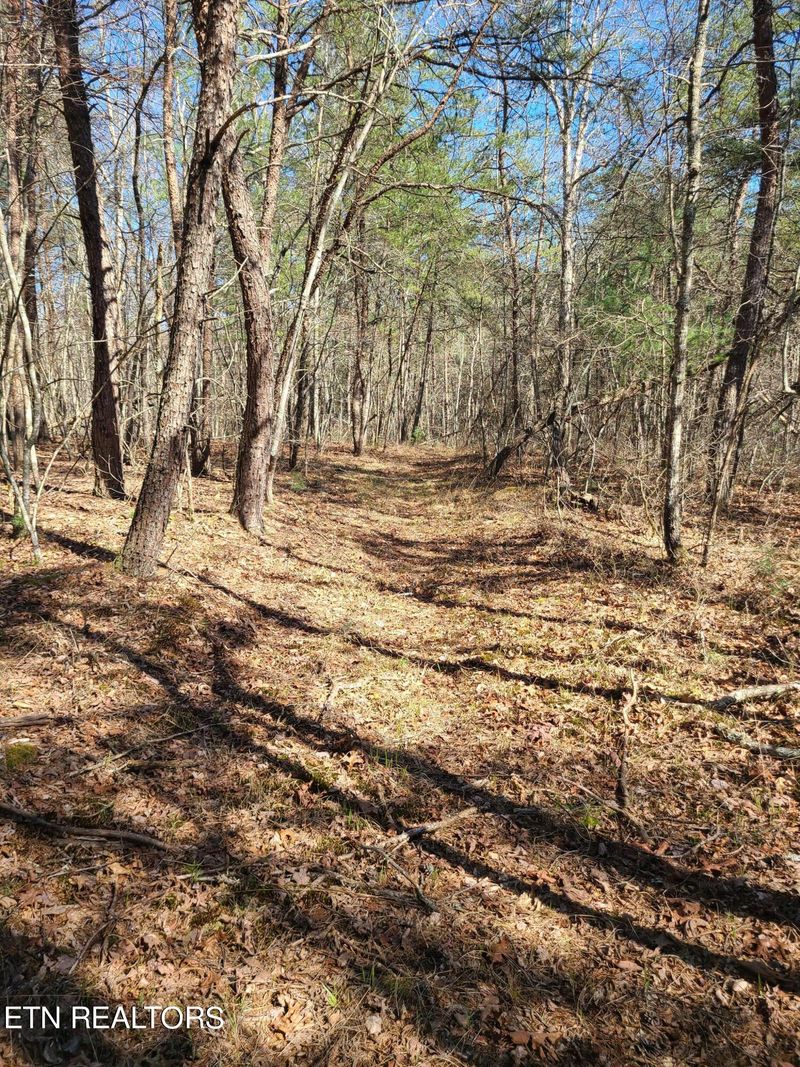 616 Coon Hollow Rd, Sunbright, TN 37872
