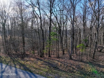 616 Cumberland Cove Rd, Monterey, TN 38574