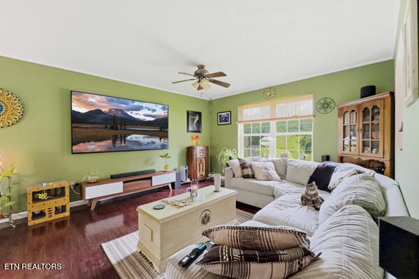 616 Hollow Dr, Strawberry Plains, TN 37871