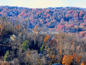 616 Turkey Nest Rd #APT 205, Gatlinburg, TN 37738