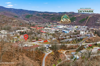 616 Turkey Nest Rd #APT 209, Gatlinburg, TN 37738