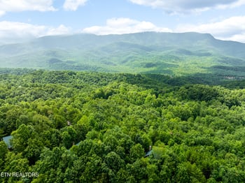 617 Almost Heaven Way, Gatlinburg, TN 37738