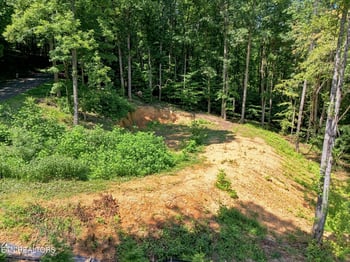 617 Skyline Dr, Clinton, TN 37716