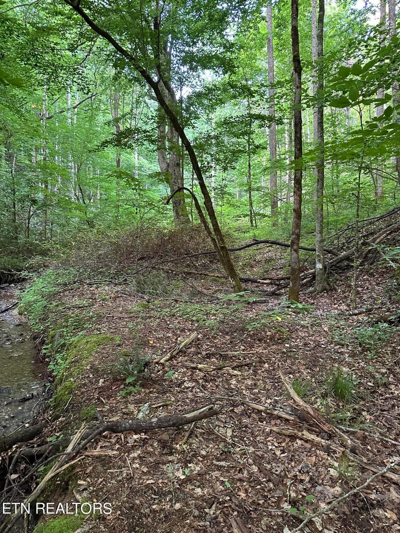 618 Tanasi Tr, Townsend, TN 37882