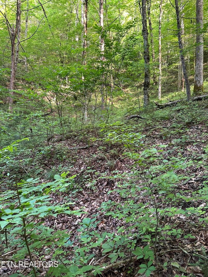 618 Tanasi Tr, Townsend, TN 37882