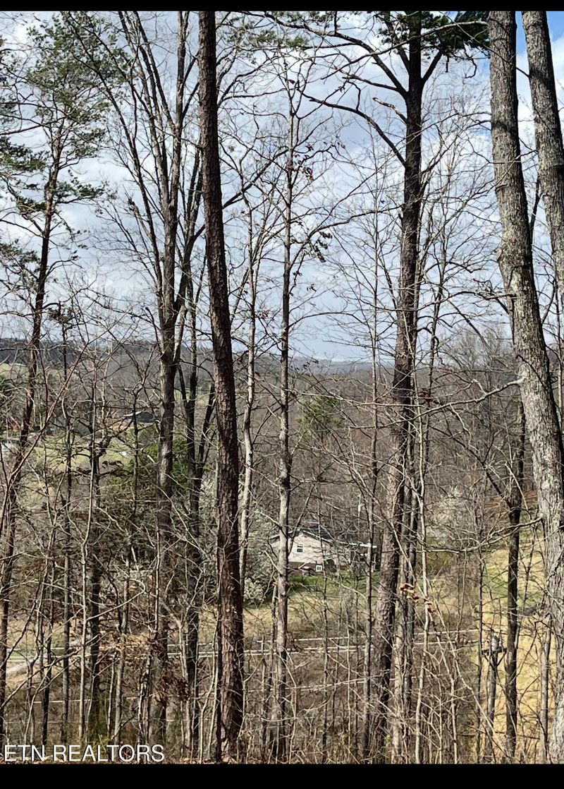 619 Ernie Roberts Rd, Rutledge, TN 37861