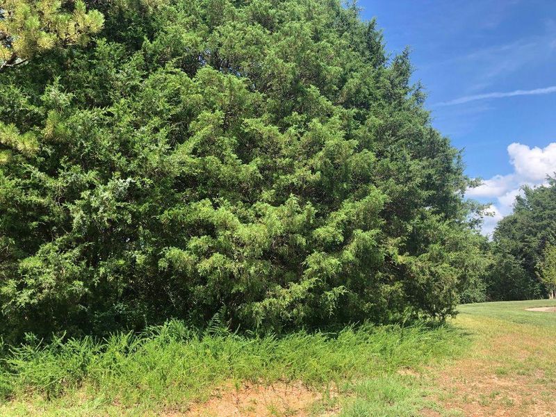 619 Tanasi Ln, Loudon, TN 37774