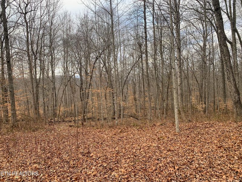 620 Big Sinks Rd, Sharps Chapel, TN 37866