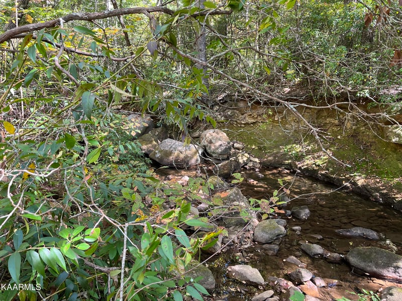 620 Bullet Creek Rd, Reliance, TN 37369