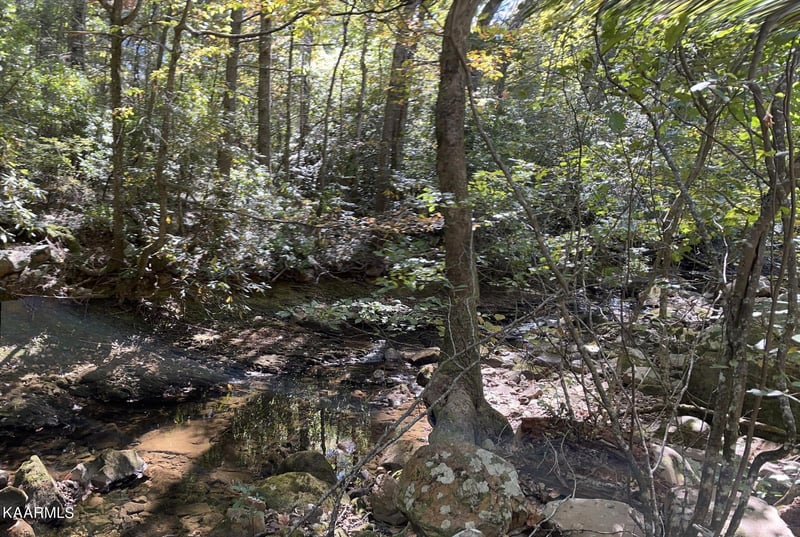 620 Bullet Creek Rd, Reliance, TN 37369