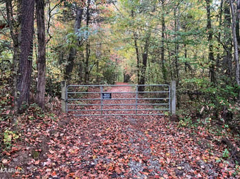 620 Bullet Creek Rd, Reliance, TN 37369