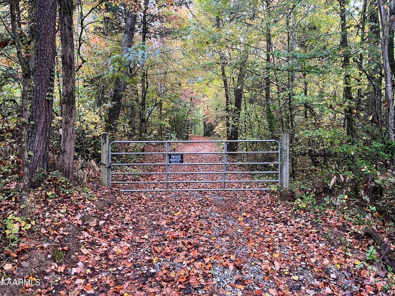 620 Bullet Creek Rd, Reliance, TN 37369