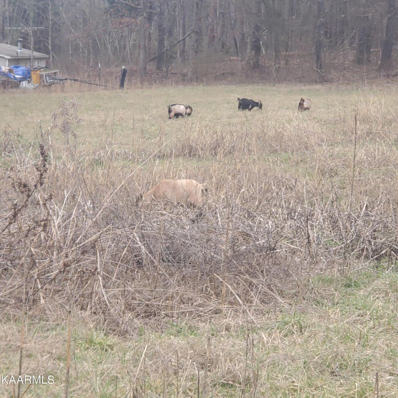 620 County Road 655, Athens, TN 37303